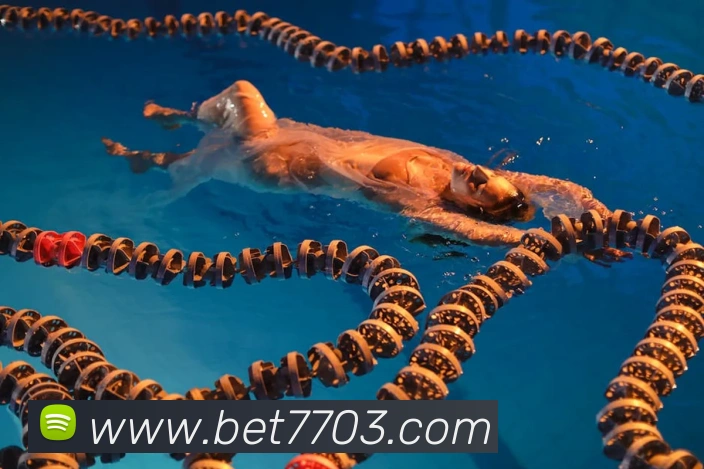 bet365com发展历程